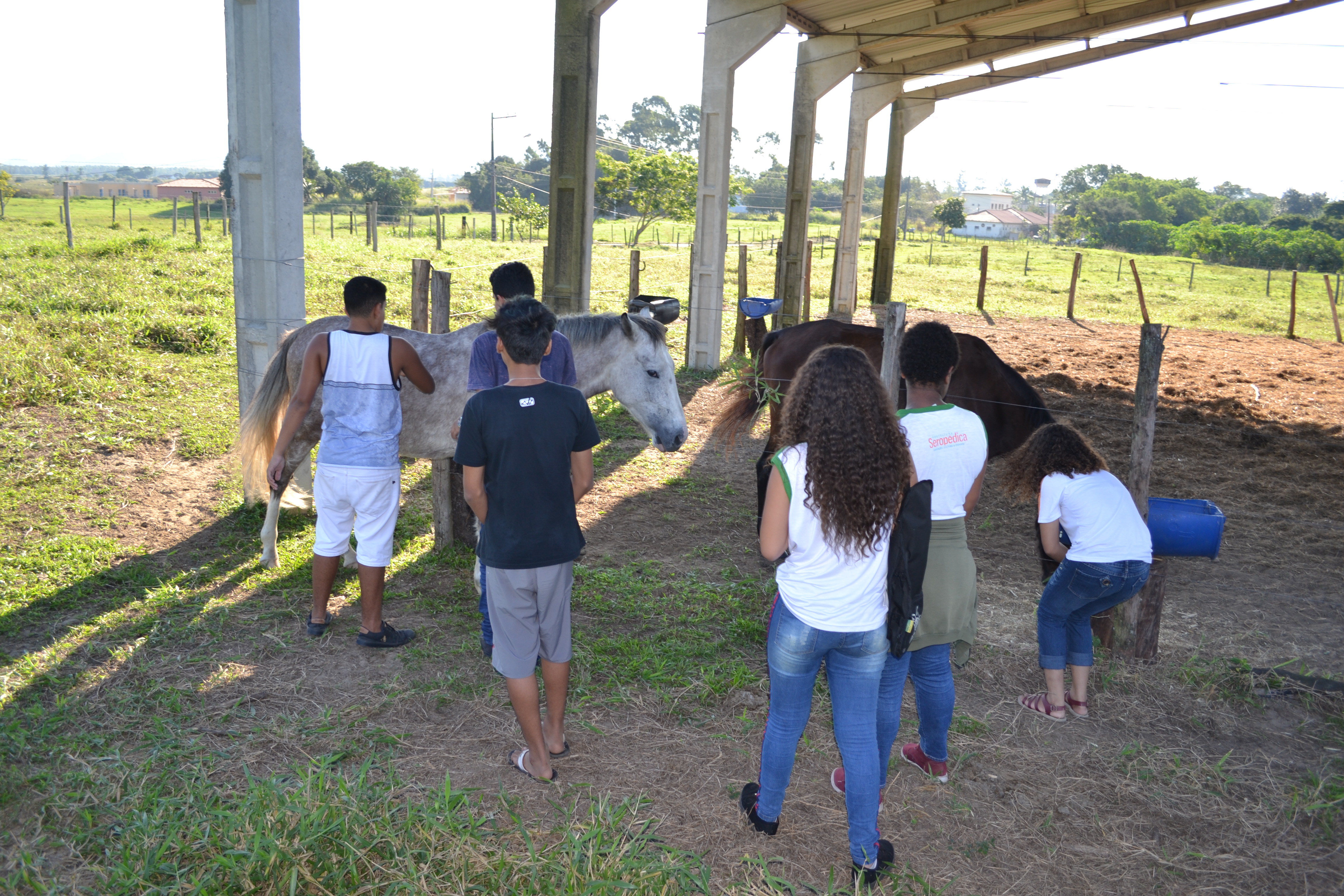 CAIC promove atividades em comemoração à Semana do Meio Ambiente 