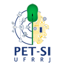 PET-SI